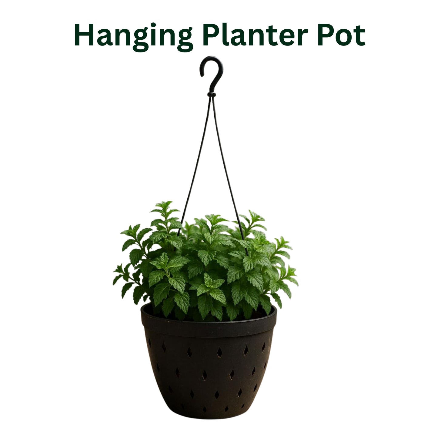 Multi-Purpose Planting Pot – Hanging or Wall Mounted Planting Pot (Set of 2)- Perfect for Indoor & Outdoor Use
