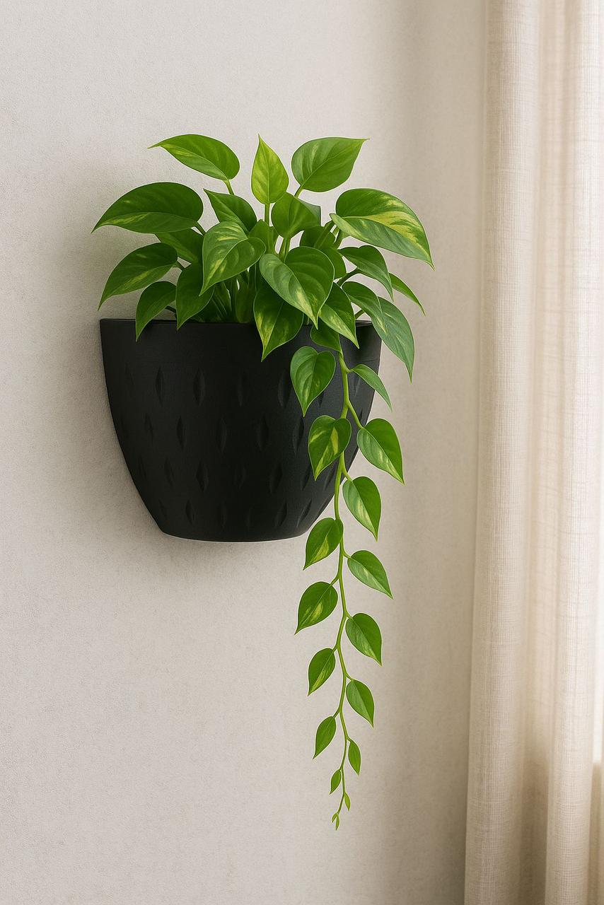 Multi-Purpose Planting Pot – Hanging or Wall Mounted Planting Pot (Set of 2)- Perfect for Indoor & Outdoor Use